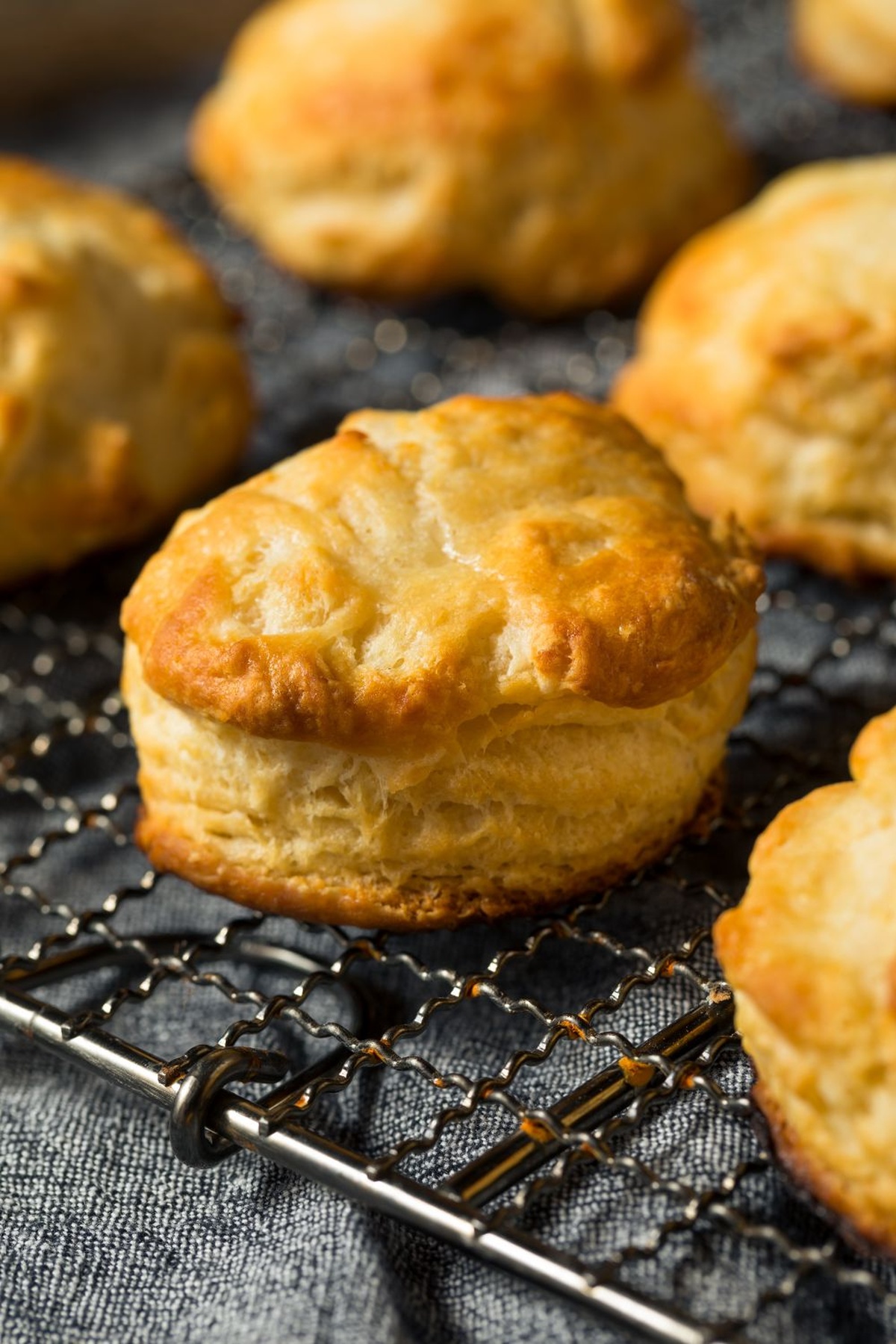 Flaky Joy Of Cooking Biscuit Recipe