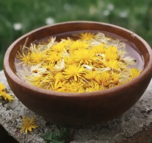 Emerald Dandelion Bitter Recipe