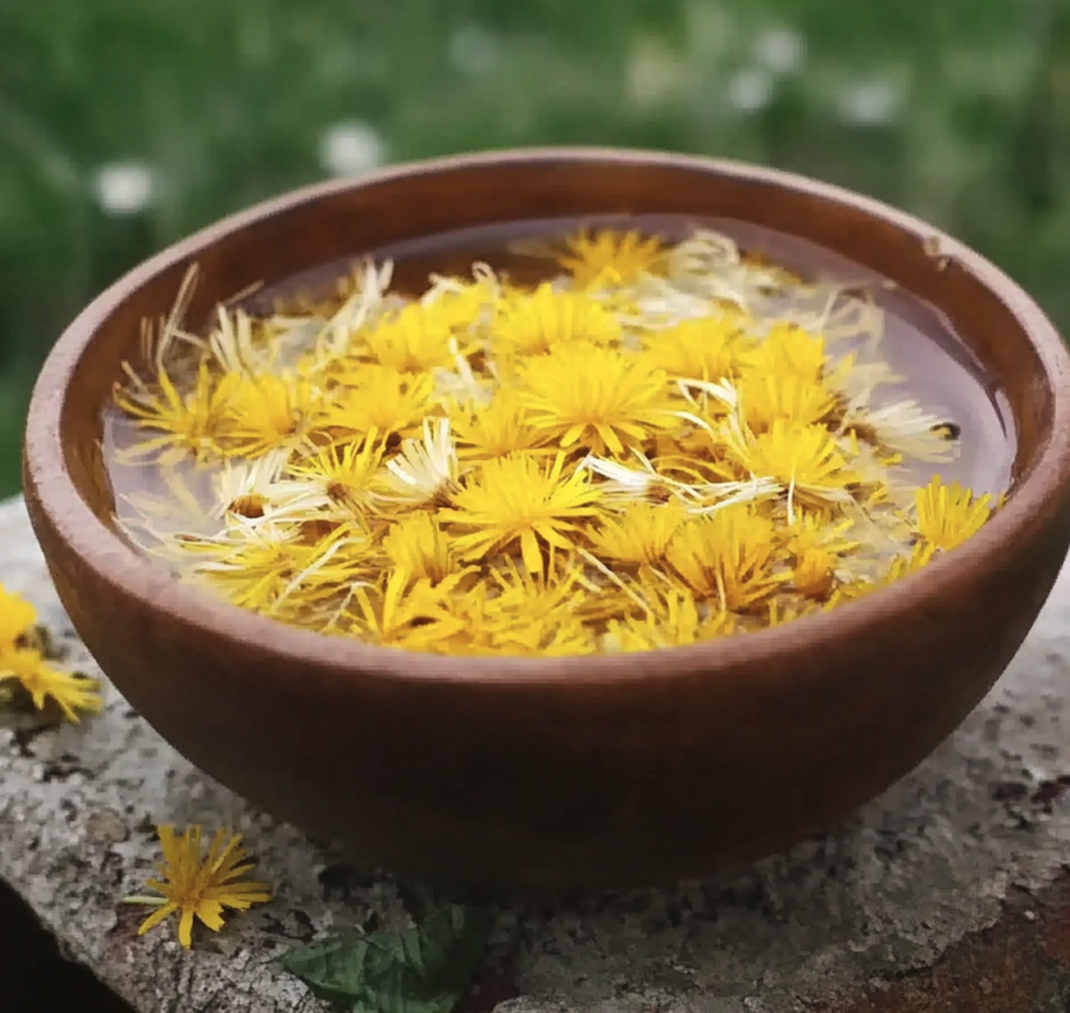 Emerald Dandelion Bitter Recipe