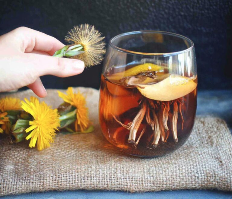 Fizzy Dandelion Soda Recipe