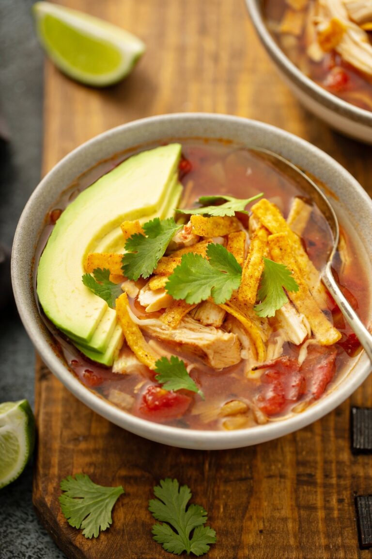 Hearty Mexican Chicken Soup Recipe
