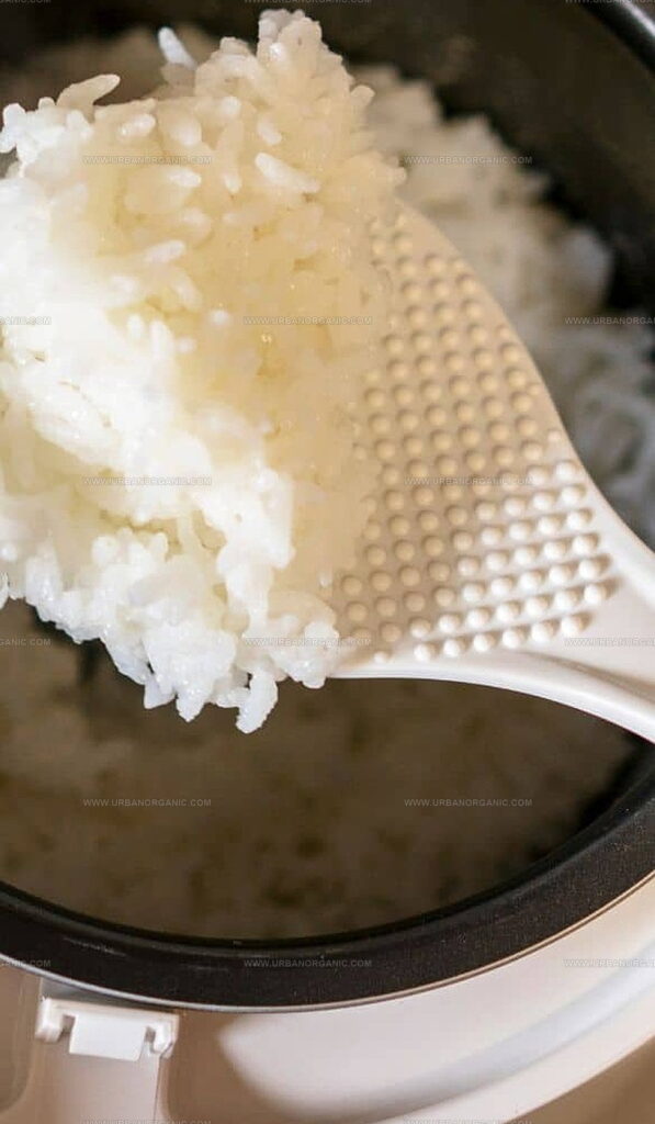 Flavorful Chicken Broth Rice Cooker Recipe for Hearty Dinners - Urban ...
