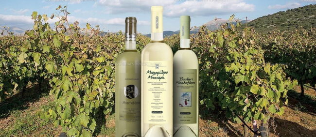 Moschofilero