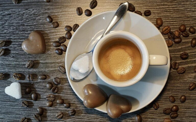 What Does Espresso Taste Like? Bold Brew Breakdown for Newcomers