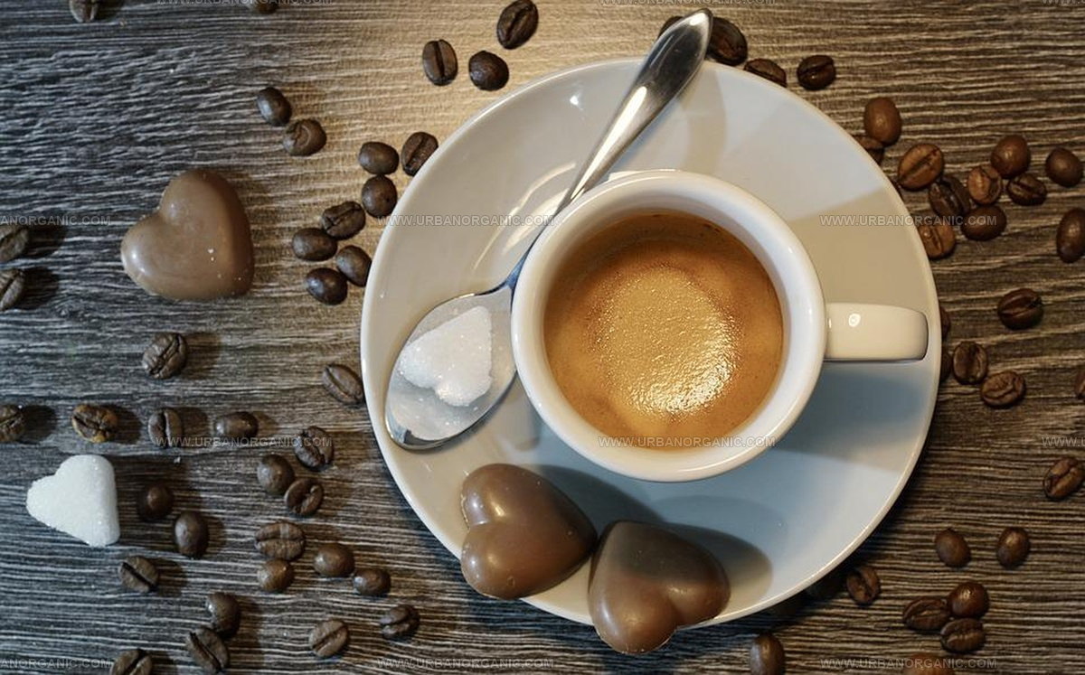What Does Espresso Taste Like? Bold Brew Breakdown for Newcomers