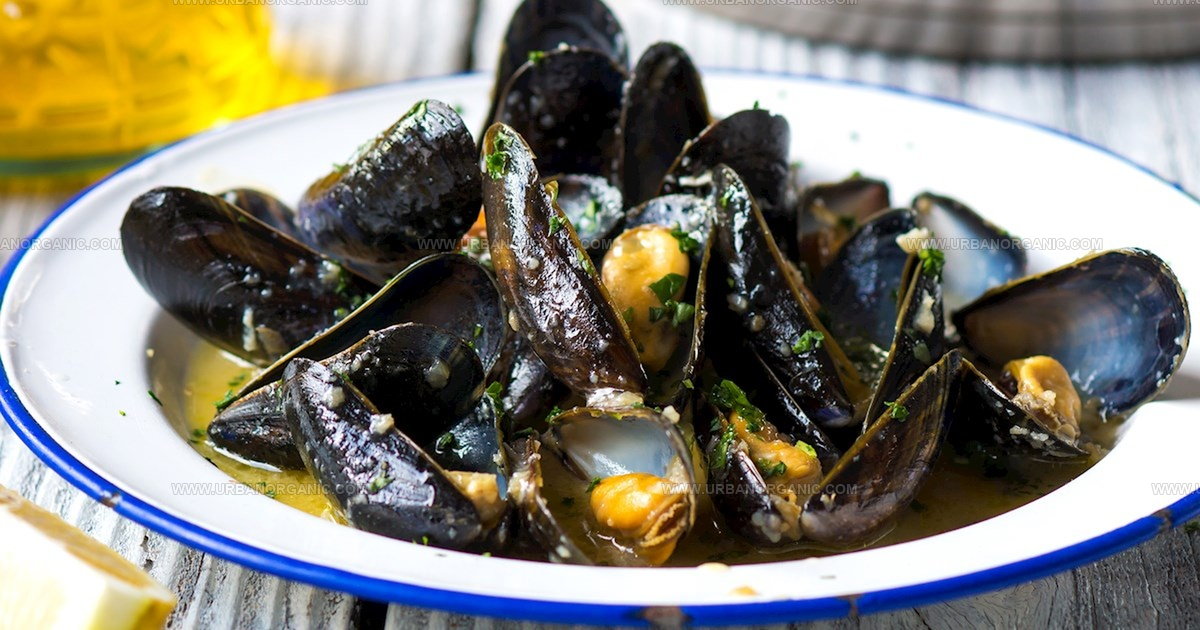 27 Tasty European Mussel Dishes Worth Savoring
