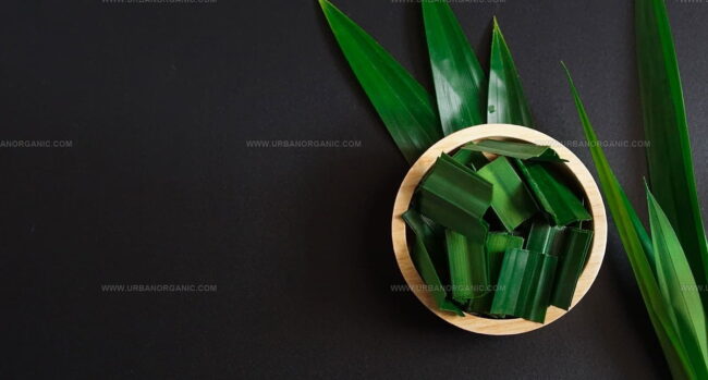Homemade Pandan Extracts and Natural Substitutes
