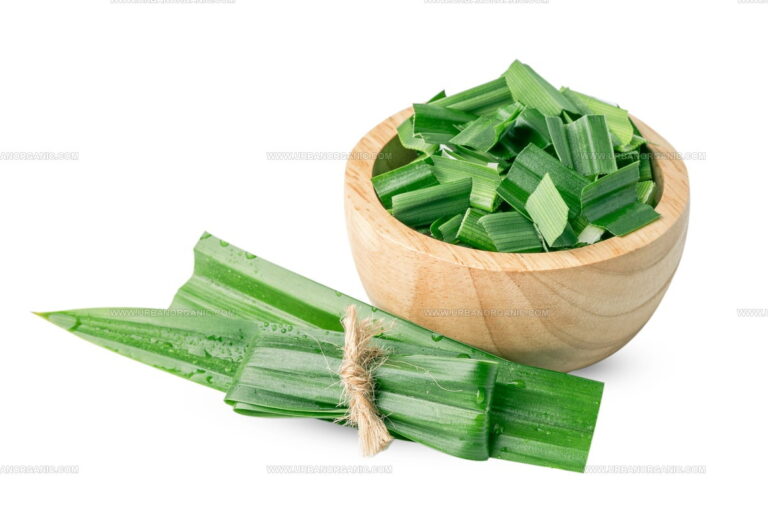 3 Pandan Leaf Replacements for Fragrant Recipes