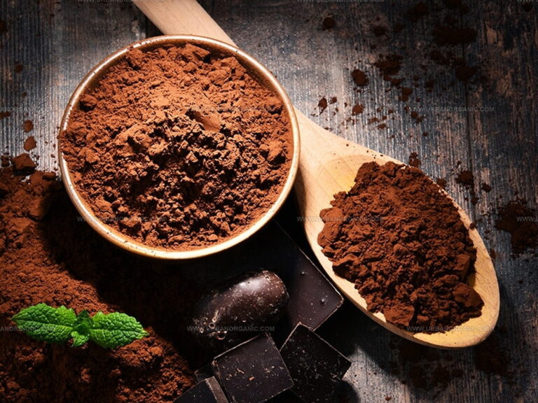 Cacao or Cocoa: What's the Real Chocolate Winner?