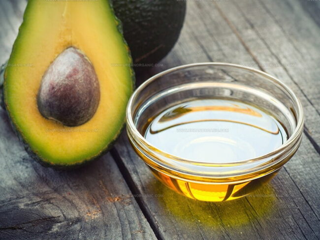 Avocado Oil and Grapeseed Oil: The Overview