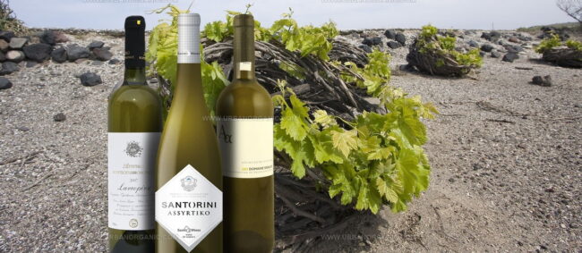 Assyrtiko