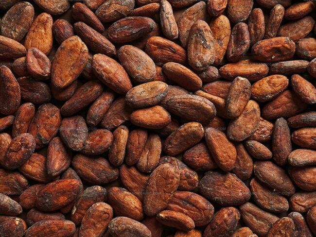 How Cacao Beans Are Made Ready to Eat