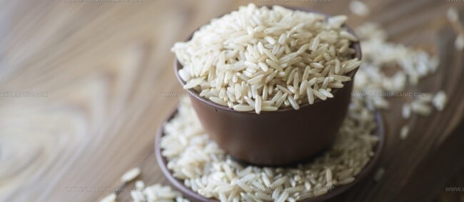 Arroz Carolino Das Lezirias Ribatejanas
