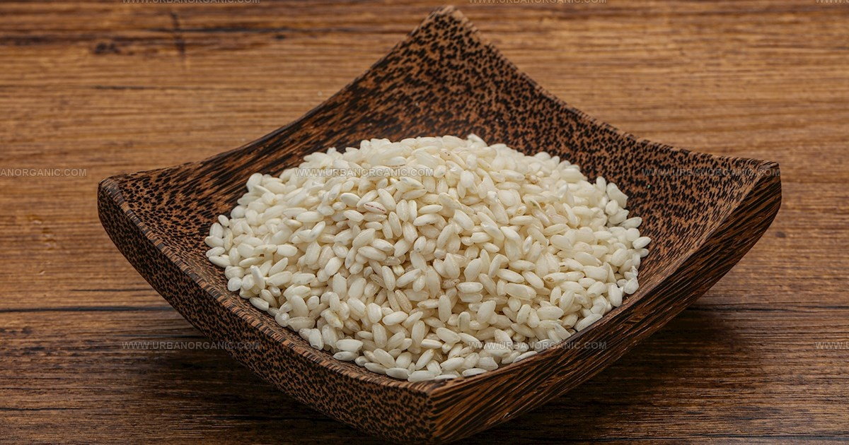 34 Fun European Grains to Spice Up Your Cooking Journey