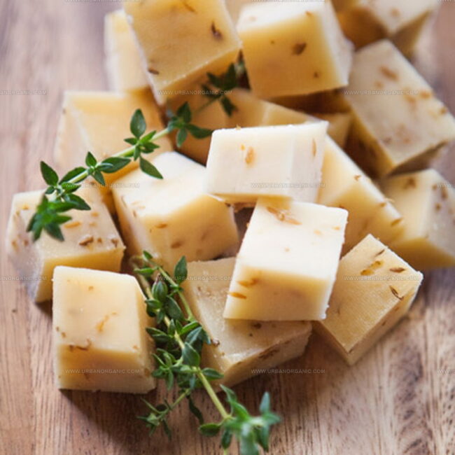 Oakdale Cheese & Specialties Cumin Gouda