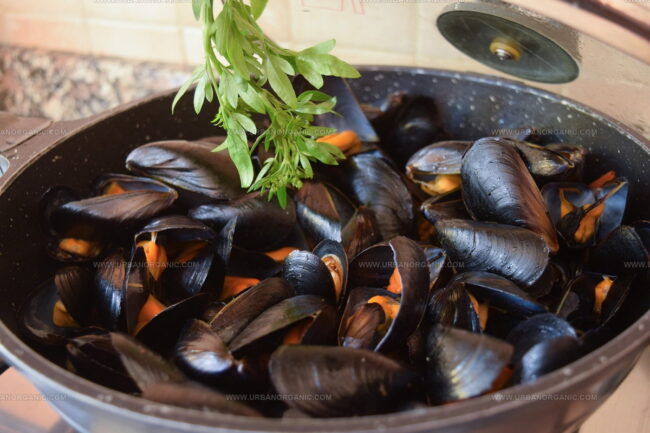 Impepata Di Cozze