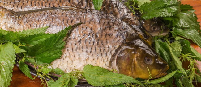 Grass Carp (Cao Yu)