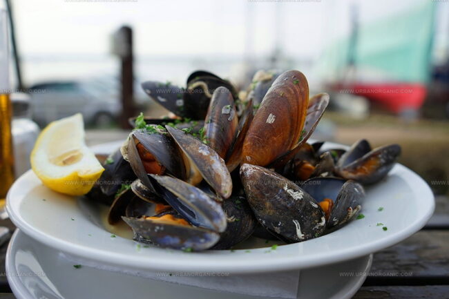 Moules Mariniere A La Creme