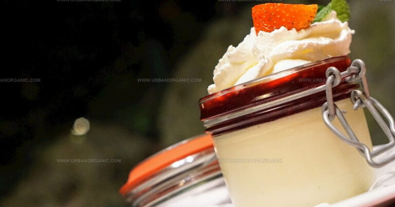 20 Great European Custards: A Sweet Journey Through Tradition