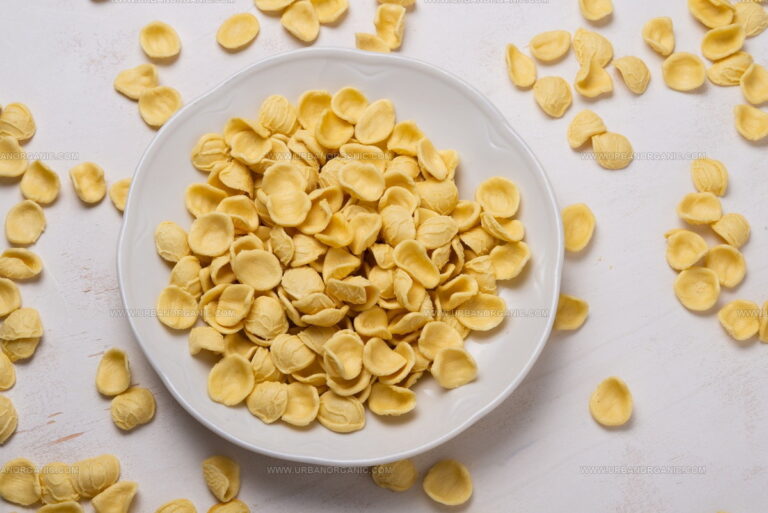 3 Orecchiette Pasta Swaps That Hold Up to Sauce