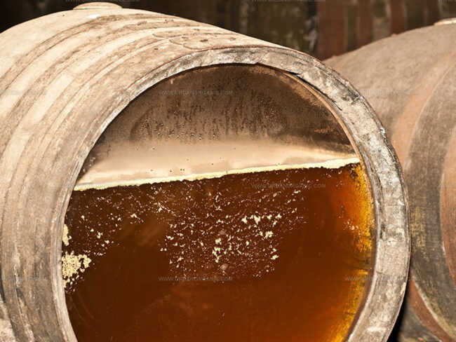 The Overview of Wine Yeast