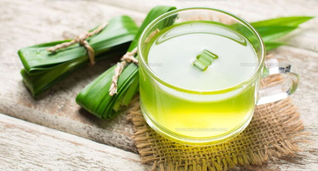 What Is Pandan?