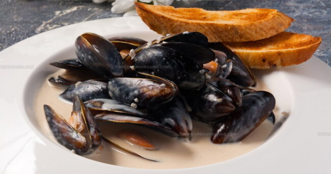 Moules A La Creme Normande