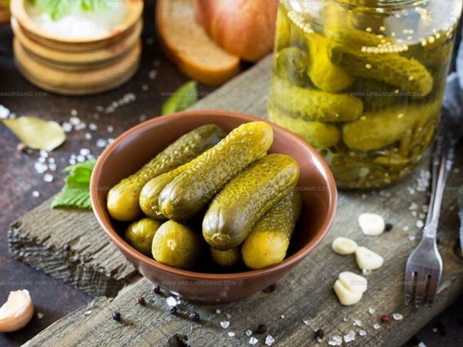What Are Pickles?