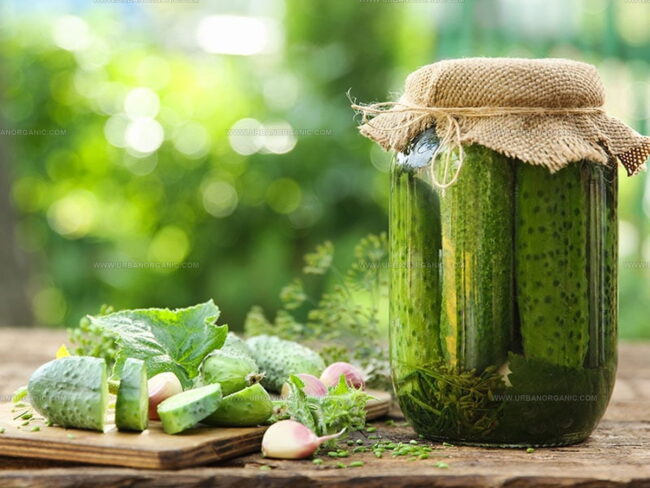 How to Make Pickles from Fresh Cucumbers?