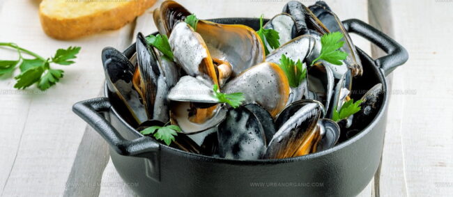 Moules A La Mariniere