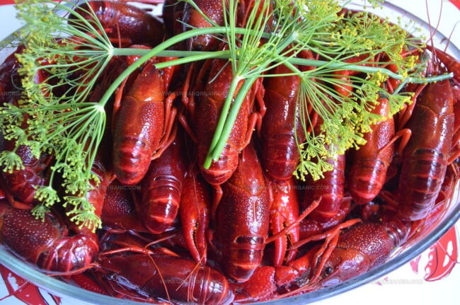 Flavor of Crawfish