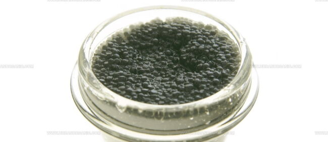 Beluga Caviar