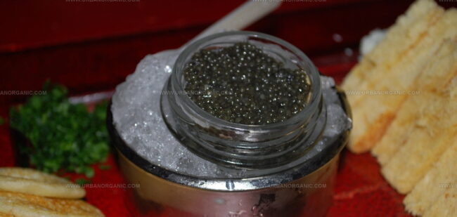Sevruga Caviar